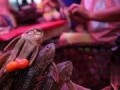 在线观看食人鱼,在线直播的生存挑战