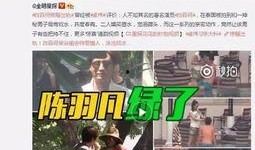 周奕宏视频爆料大全最新,揭秘娱乐圈不为人知的秘密