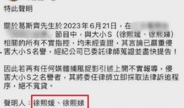 台媒最近爆料视频大全最新,视频大全揭露惊人内幕