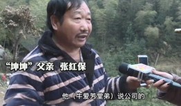 牛爱芳最新爆料是真的吗,牛爱芳最新爆料真实性揭秘