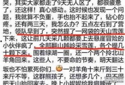 雪莲爆料视频大全集最新,揭秘娱乐圈不为人知的秘密