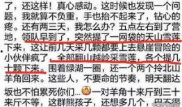 雪莲爆料视频大全集最新,揭秘娱乐圈不为人知的秘密