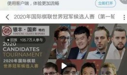 国民党副手候选人爆料视频,揭秘政坛背后真相