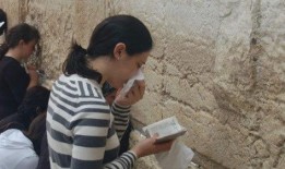 娱乐圈吃瓜猪头是谁