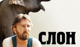 电影大象视频在线观看,揭示校园暴力的残酷真相，在线观看震撼心灵