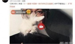 娱乐爆料白百何事件,真相与反思