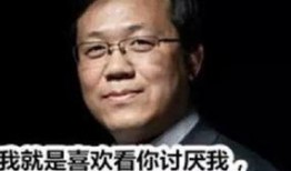卓伟爆料别墅事件视频在线观看,独家视角直击事件真相