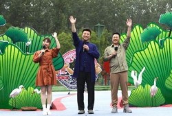 何穗最新爆料新闻视频,揭秘时尚界背后的故事