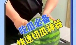 吃瓜神器在线播放视频免费,免费在线观看视频的神奇之旅