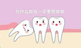 智齿在线观看,揭秘口腔健康与智慧生活新篇章