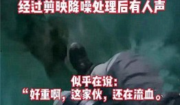 太平洋员工爆料事件视频,揭秘职场真相与内幕