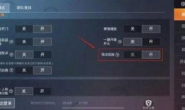 和平精英爆料最新升级枪