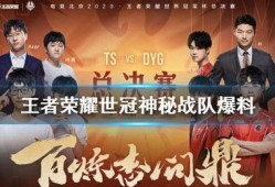 荣耀世冠最新爆料视频,精彩瞬间抢先看，揭秘新赛季精彩对决