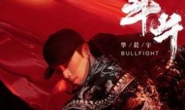 抖音视频爆料大全,爆款内容背后的秘密大曝光