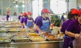 东北人食堂爆料视频,地道美食背后的故事