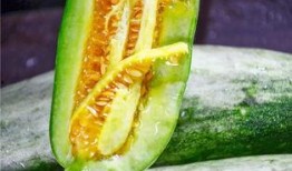 网红吃瓜的视频免费看,免费观看，揭秘娱乐圈幕后故事