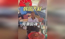 韩国大叔爆料视频大全,揭秘娱乐圈幕后真相