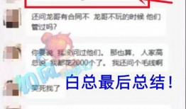 白哥爆料私信视频,私信视频背后的惊人真相