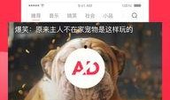热点爆料西瓜视频会员旗舰店
