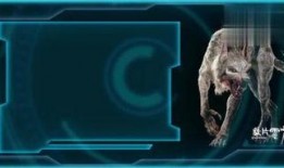 怪兽电影爆料视频下载安装,爆料视频下载安装全攻略