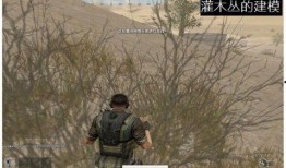 端游吃鸡最新爆料,神秘武器登场，战场格局再起风云