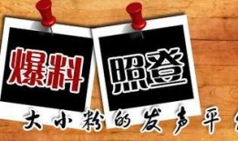 新闻大爆料观后感,揭示真相，唤醒社会良知