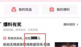 怎么发头条的爆料视频,轻松吸引眼球，引爆热点