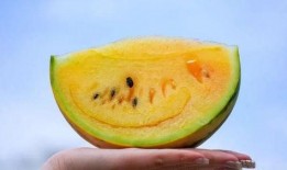 云南吃瓜事件网红,网红引发的网络狂欢与反思