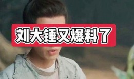 刘大锤爆料娱乐圈视频,独家爆料视频大揭秘