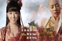 金瓶梅 2在线观看,欲望的漩涡在线观看：揭秘西门庆家族的奢华与堕落