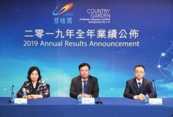 沧州碧桂园最新爆料新闻,揭秘项目最新进展与亮点