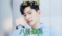 最新明星爆料吃瓜网站,明星私生活大揭秘，真相令人震惊！