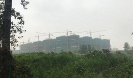 大桥道邻居爆料视频,视频揭露惊人真相！