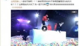 节目八卦爆料视频,八卦爆料视频深度解析